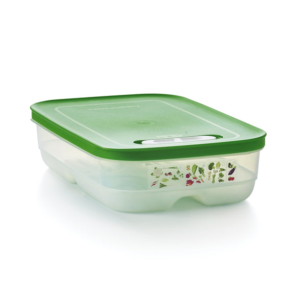 Tupperware Fridgesmart Medium