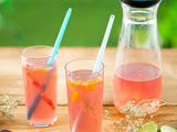 two tupperware eco straws in pink drink on a picnic table with lime and flowers