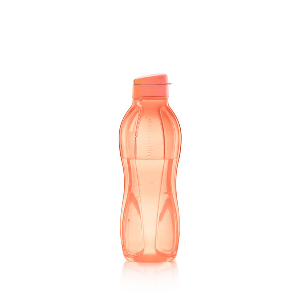 Eco+ Small Water Bottle