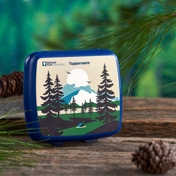 National Parks Lunch & Go Sets Forest