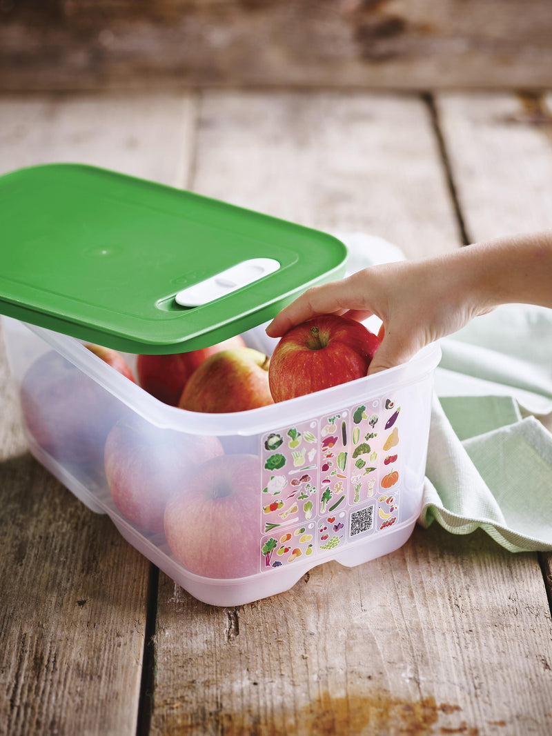 Tupperware FridgeSmart® 4-Pc. Starter Set image 7